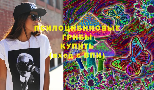 шишки Абдулино