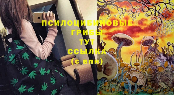 шишки Абдулино